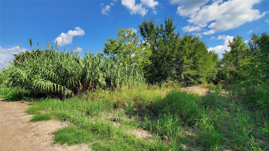 0 Cr 4070 Property Photo 33