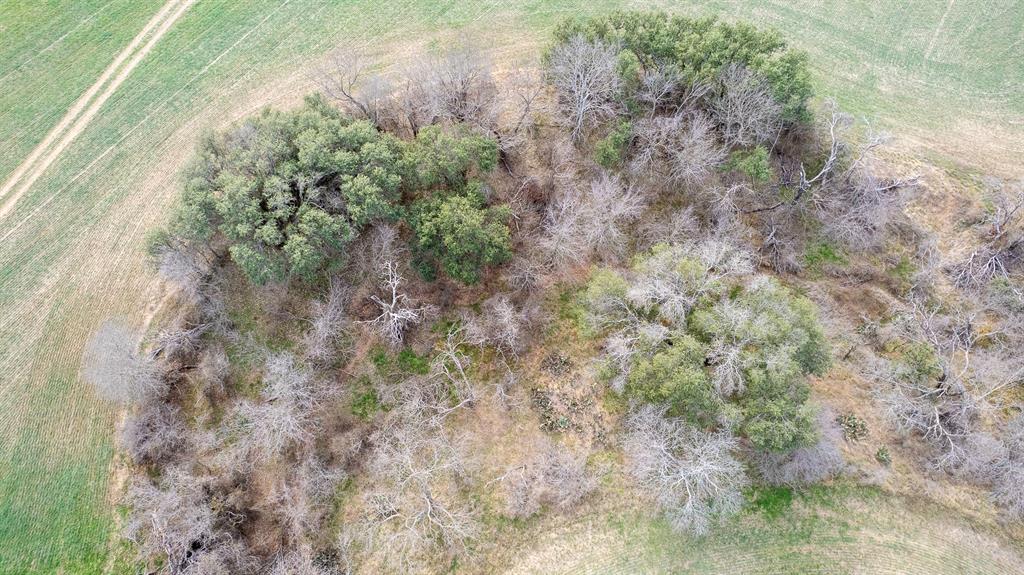 Tbd Cr 440 Property Photo 10
