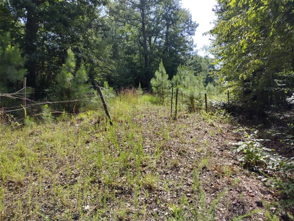 Tbd Willow Point Marina Road Property Photo 2