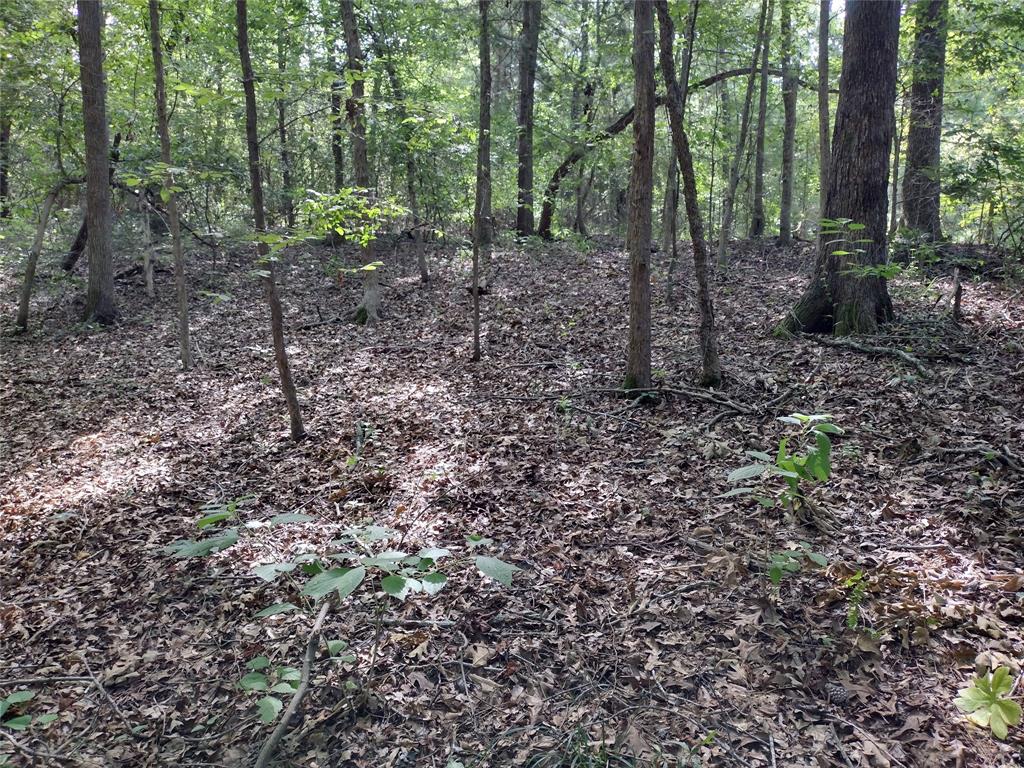 Tbd Willow Point Marina Road Property Photo 3