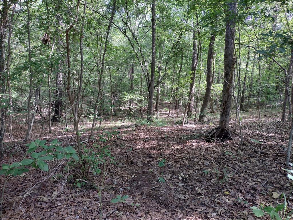 Tbd Willow Point Marina Road Property Photo 4