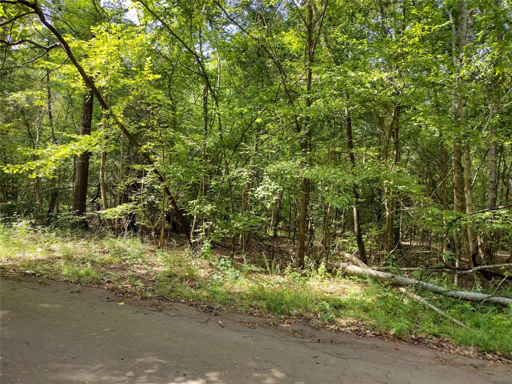 Tbd Willow Point Marina Road Property Photo 5