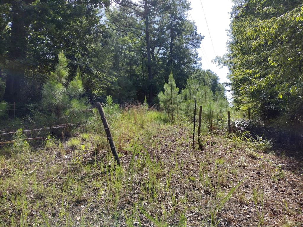 Tbd Willow Point Marina Road Property Photo 6