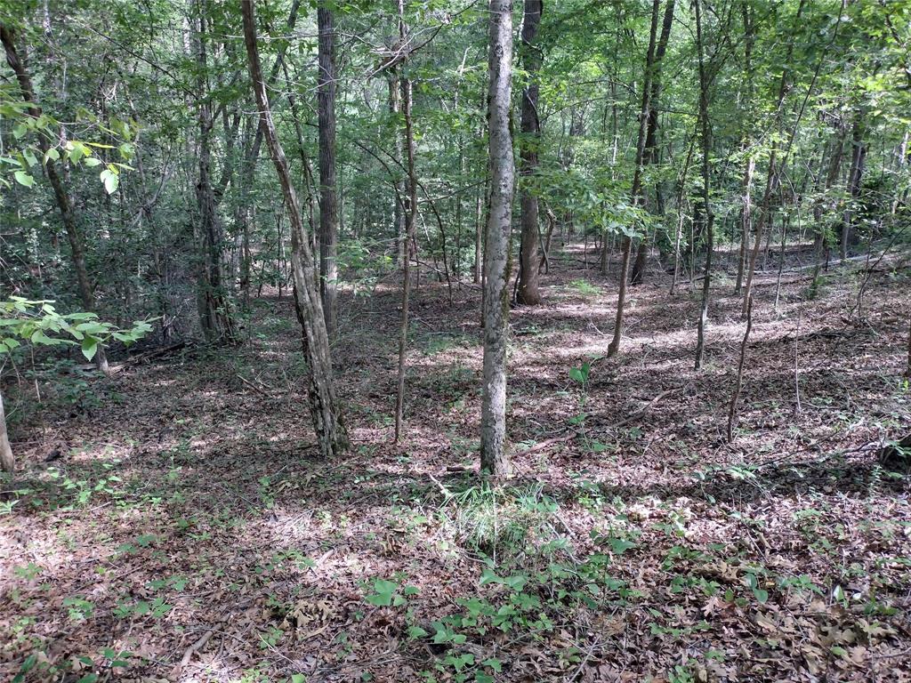 Tbd Willow Point Marina Road Property Photo 7