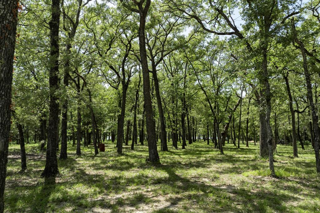 Lot 71 Anchor Property Photo 1
