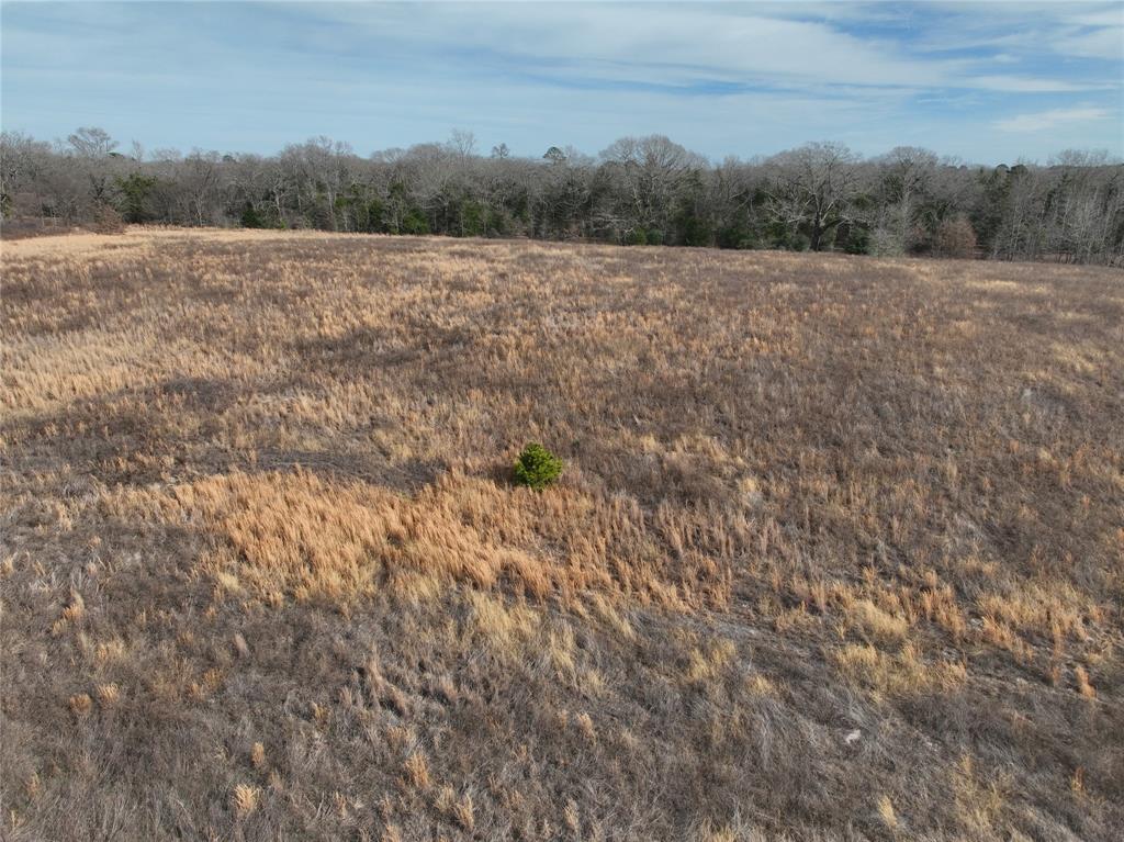 Tbd County Road 3250 Property Photo 7