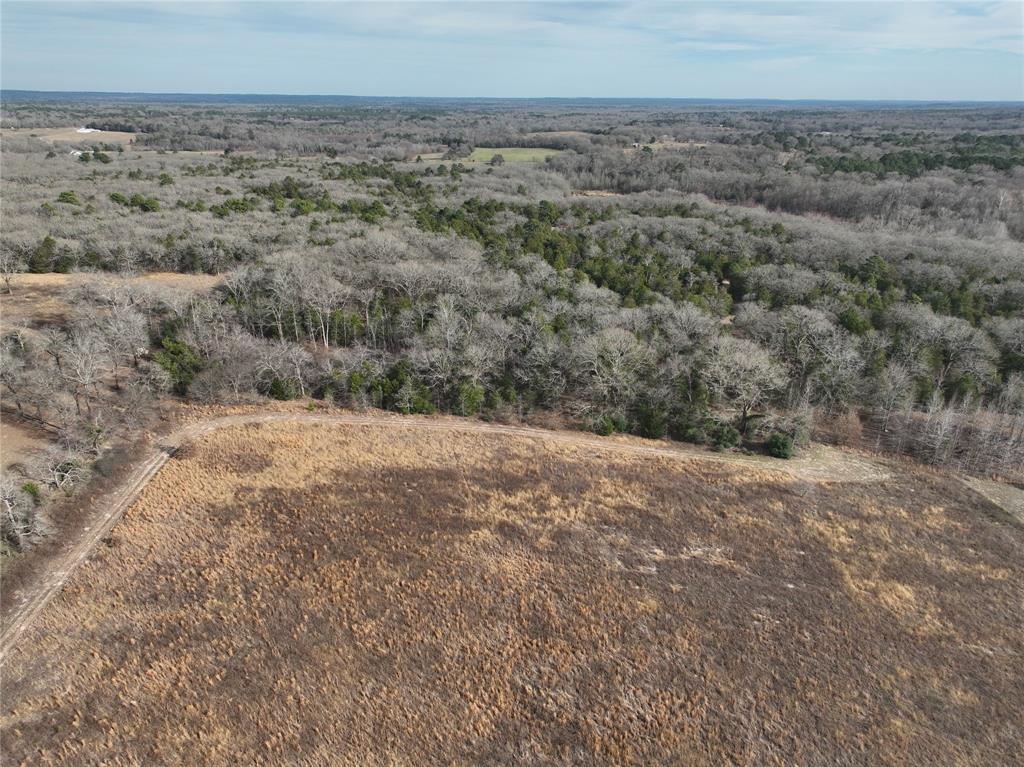 Tbd County Road 3250 Property Photo 19