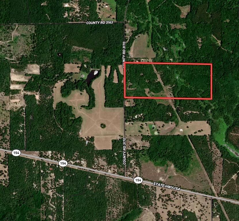 Tbd County Road 3170 Property Photo 2