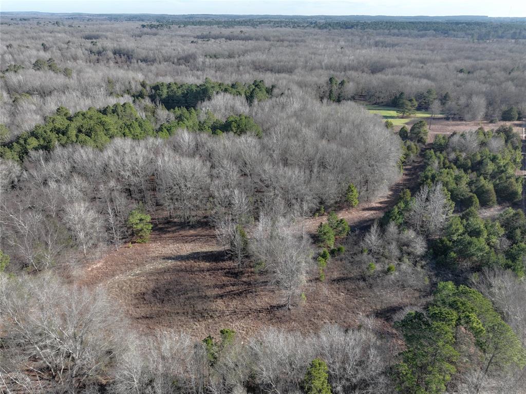 Tbd County Road 3170 Property Photo 3