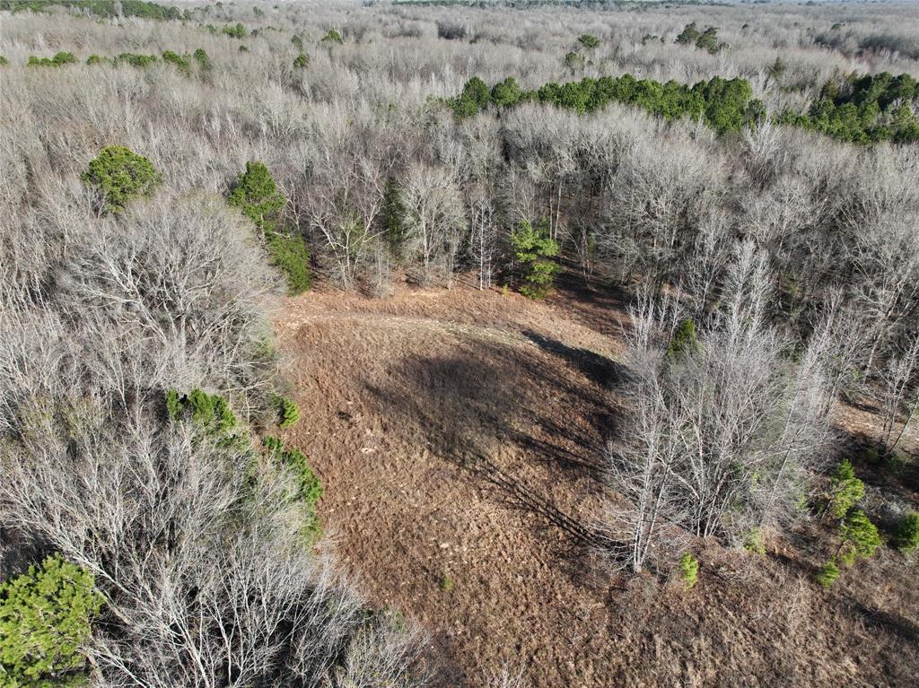 Tbd County Road 3170 Property Photo 4