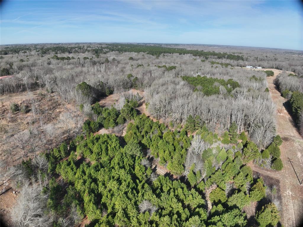 Tbd County Road 3170 Property Photo 5