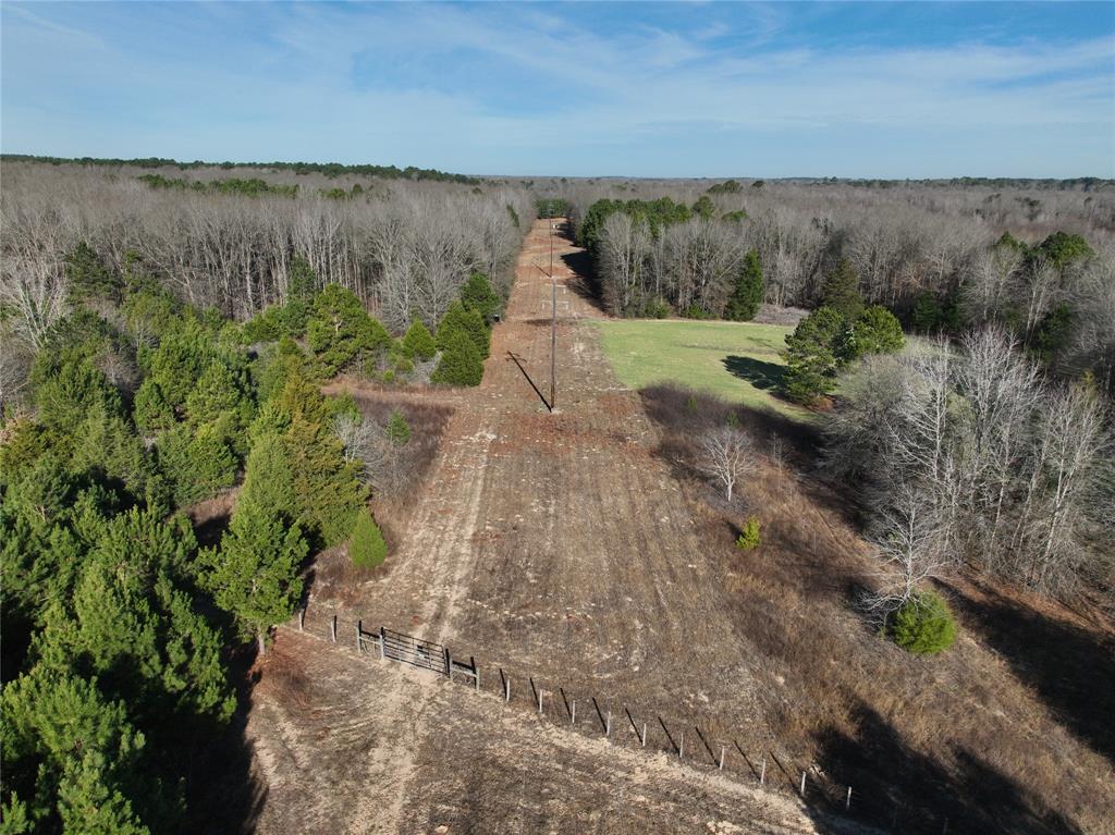 Tbd County Road 3170 Property Photo 6
