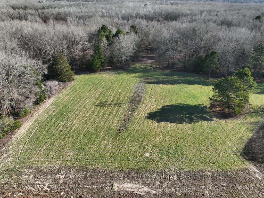 Tbd County Road 3170 Property Photo 7