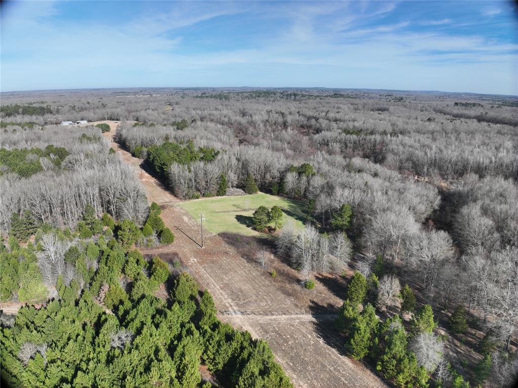 Tbd County Road 3170 Property Photo 8
