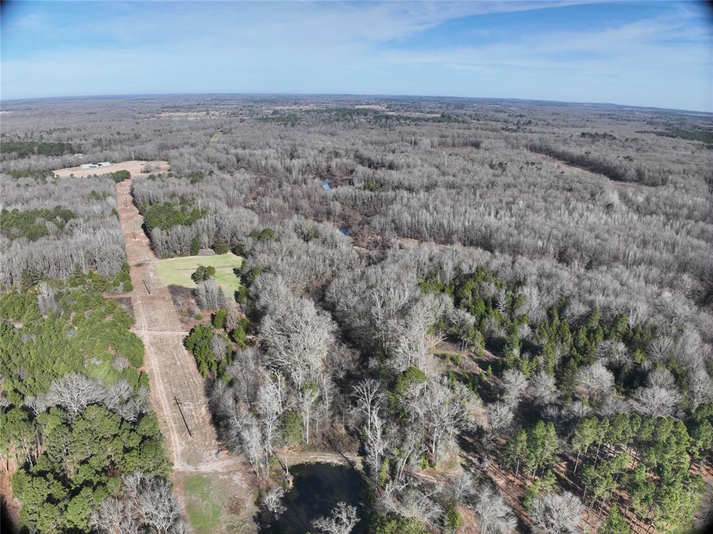 Tbd County Road 3170 Property Photo 9