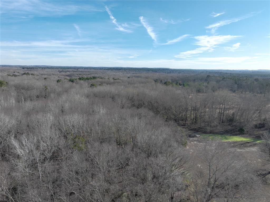 Tbd County Road 3170 Property Photo 11