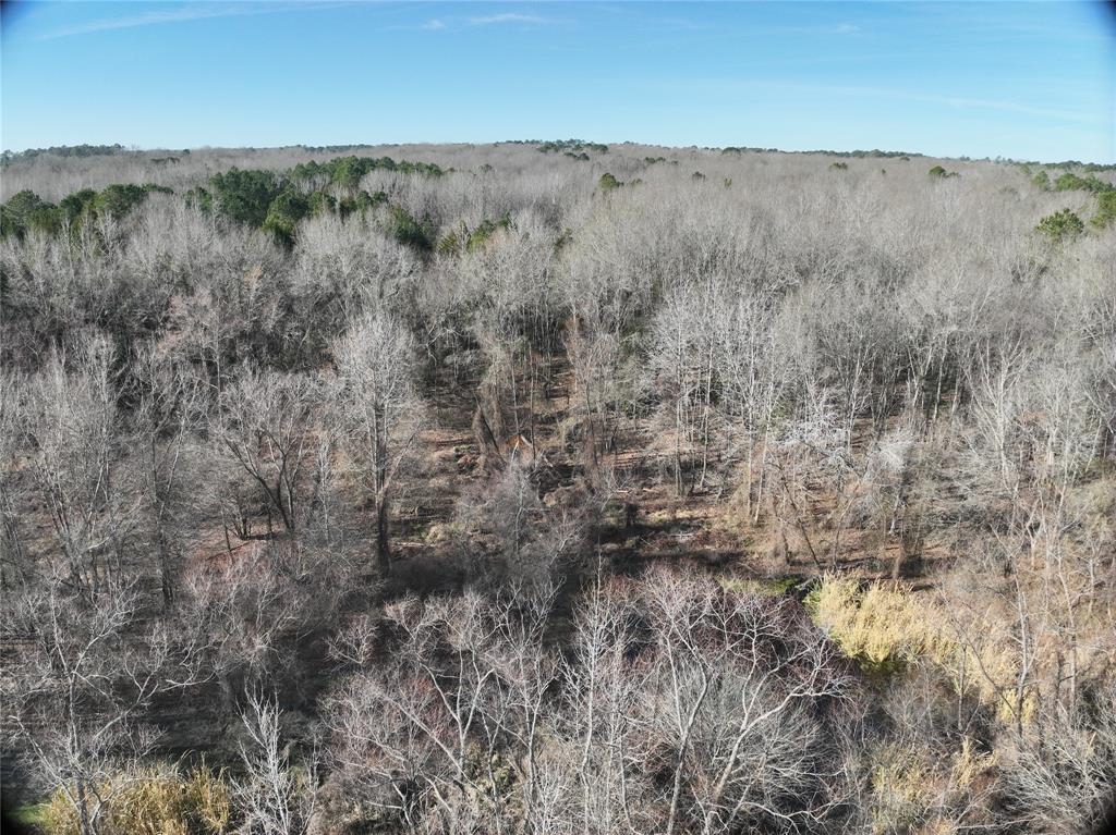 Tbd County Road 3170 Property Photo 12
