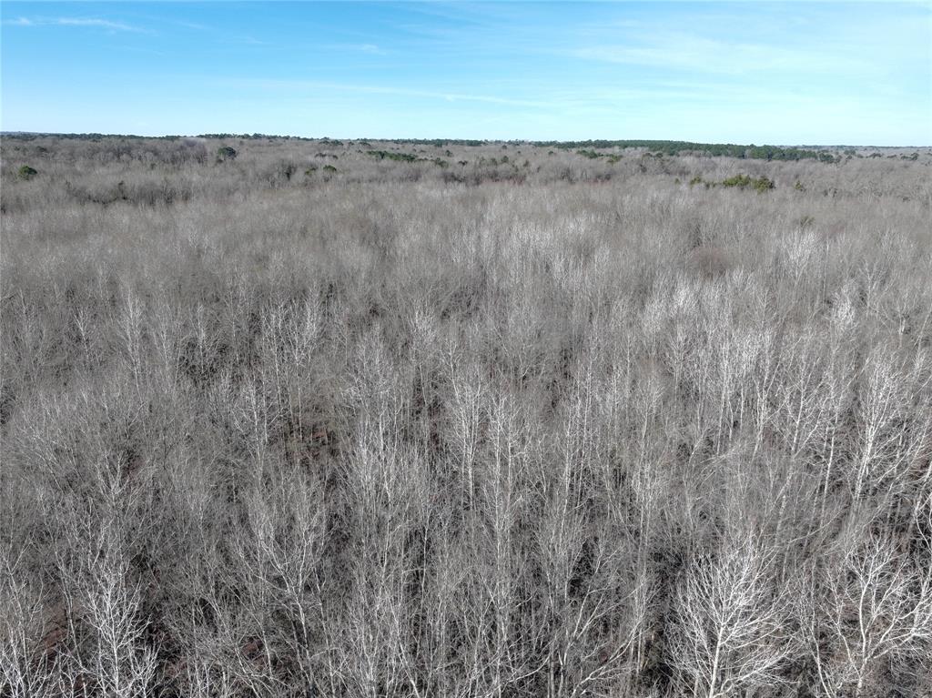 Tbd County Road 3170 Property Photo 13