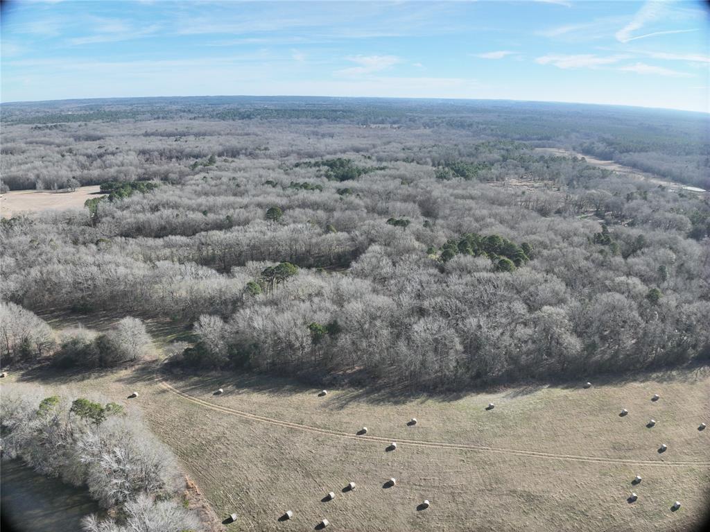 Tbd County Road 3170 Property Photo 14