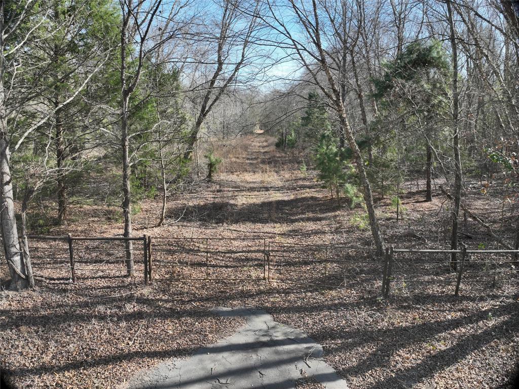 Tbd County Road 3170 Property Photo 16