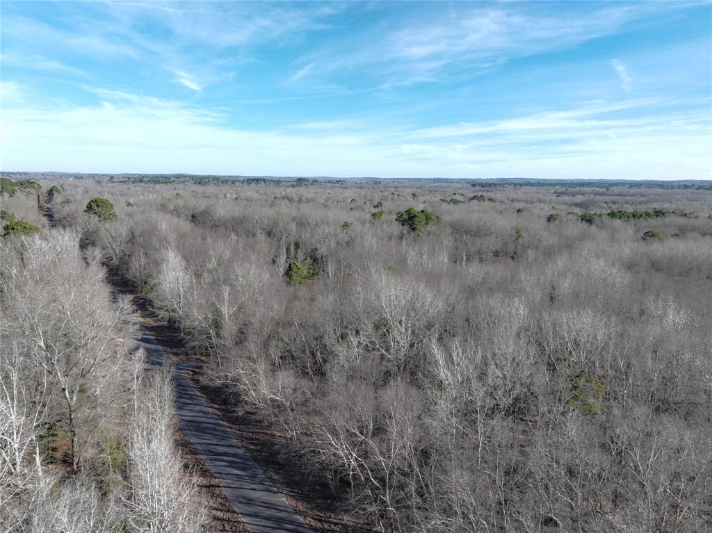 Tbd County Road 3170 Property Photo 19