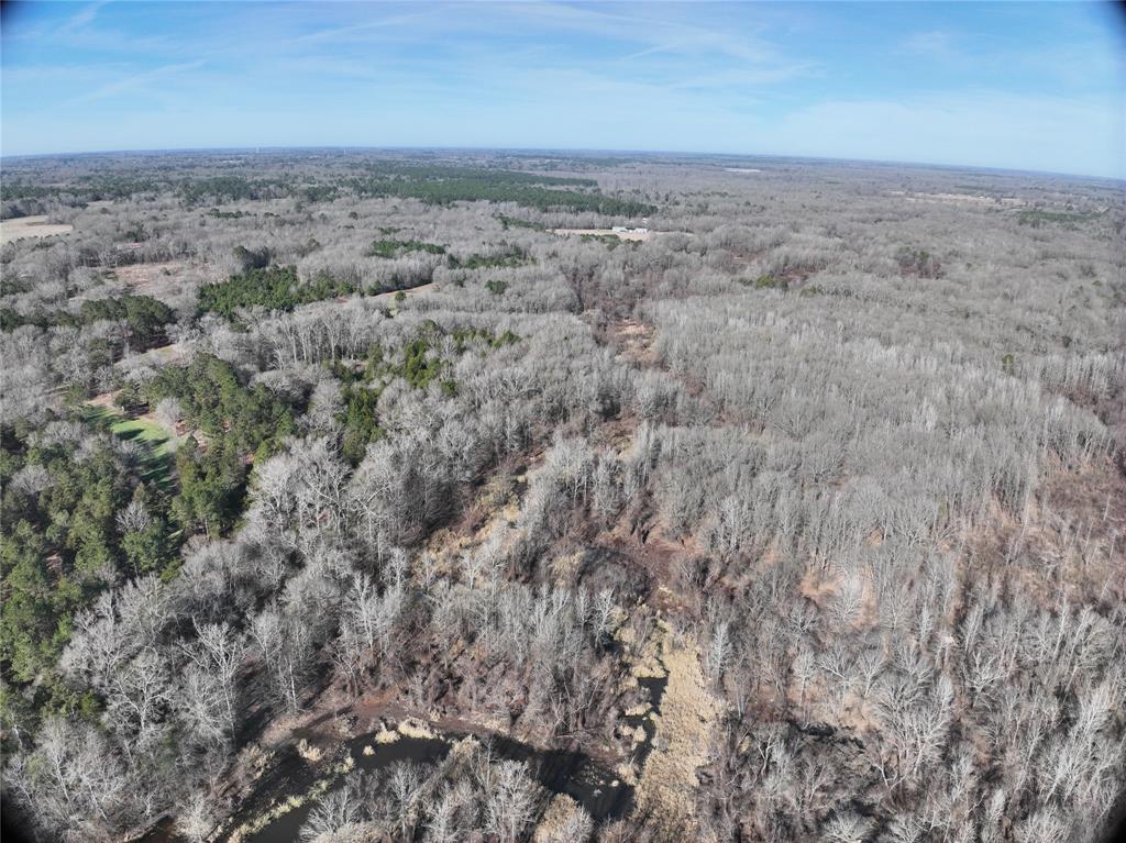 Tbd County Road 3170 Property Photo 20