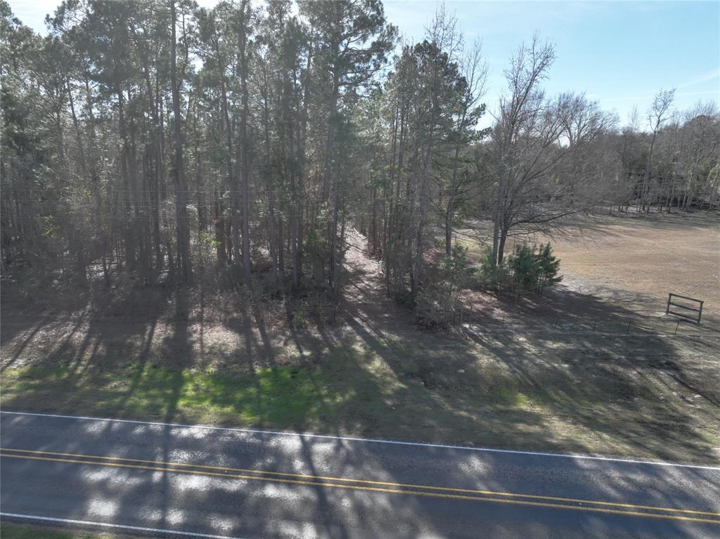 Tbd State Highway 154 Property Photo 6