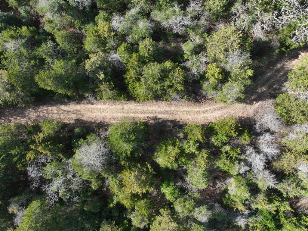 Tbd State Highway 154 Property Photo 7