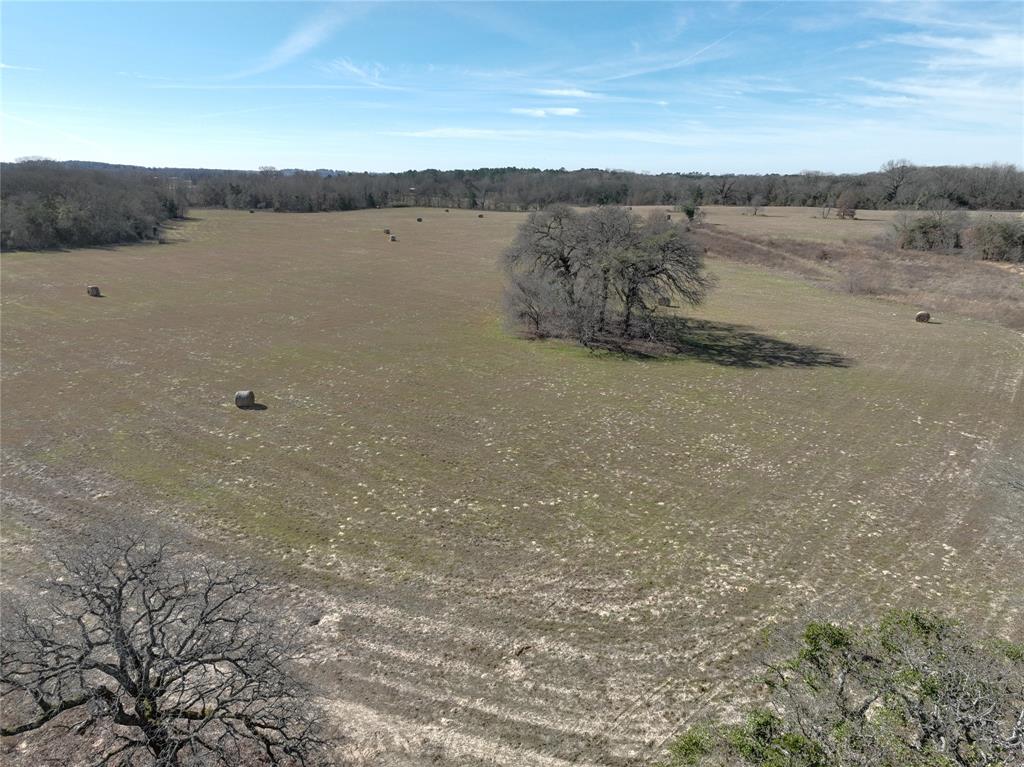 Tbd State Highway 154 Property Photo 8