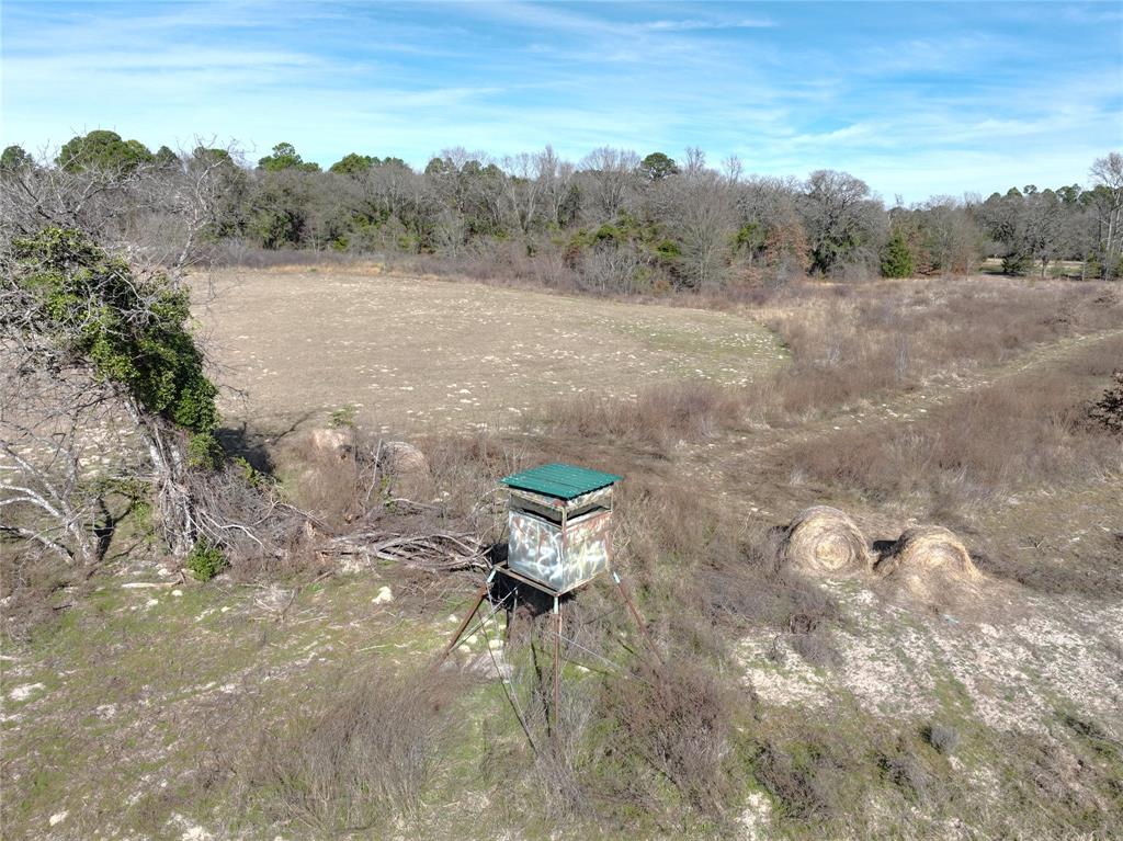Tbd State Highway 154 Property Photo 10