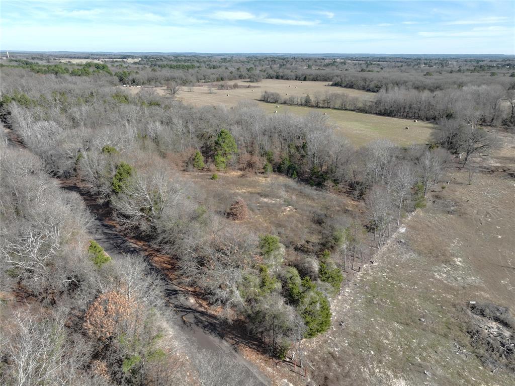Tbd State Highway 154 Property Photo 16