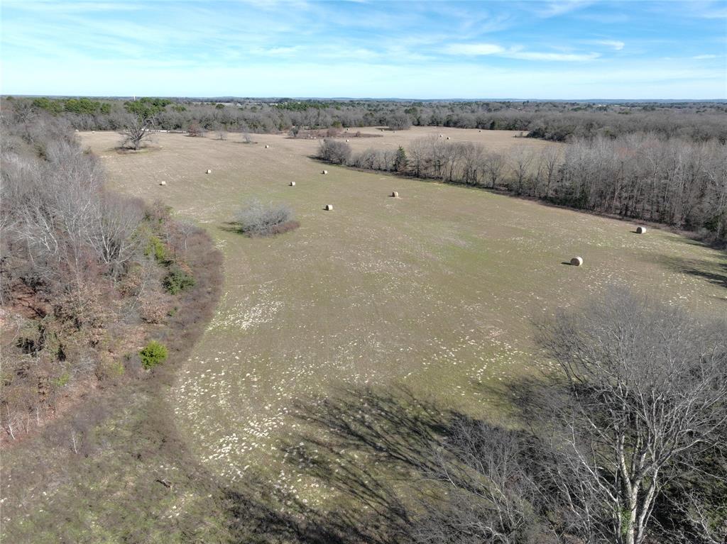 Tbd State Highway 154 Property Photo 17