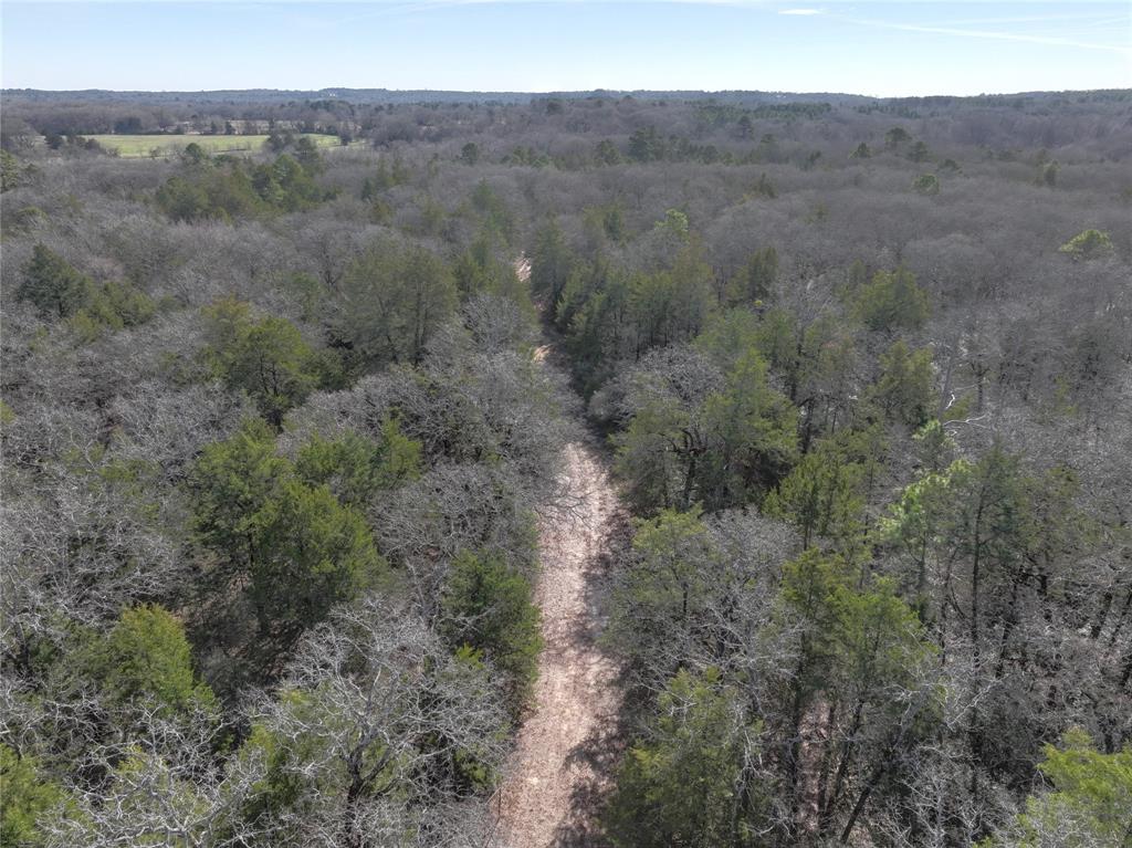 Tbd State Highway 154 Property Photo 18