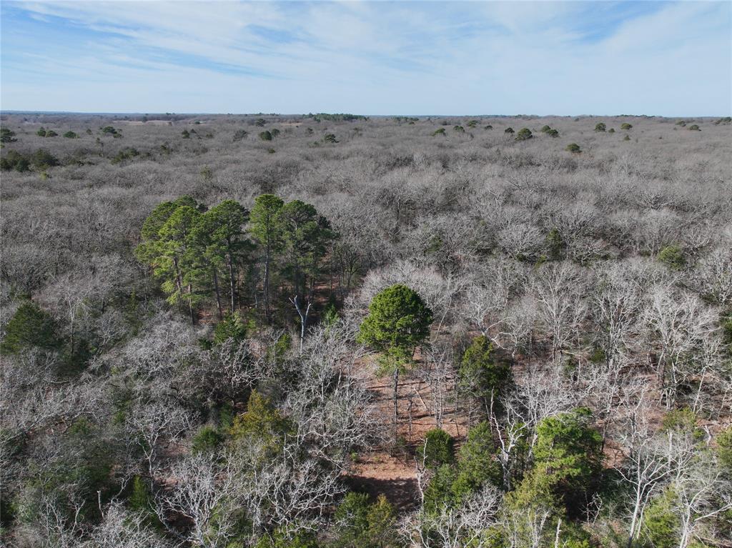 Tbd State Highway 154 Property Photo 19