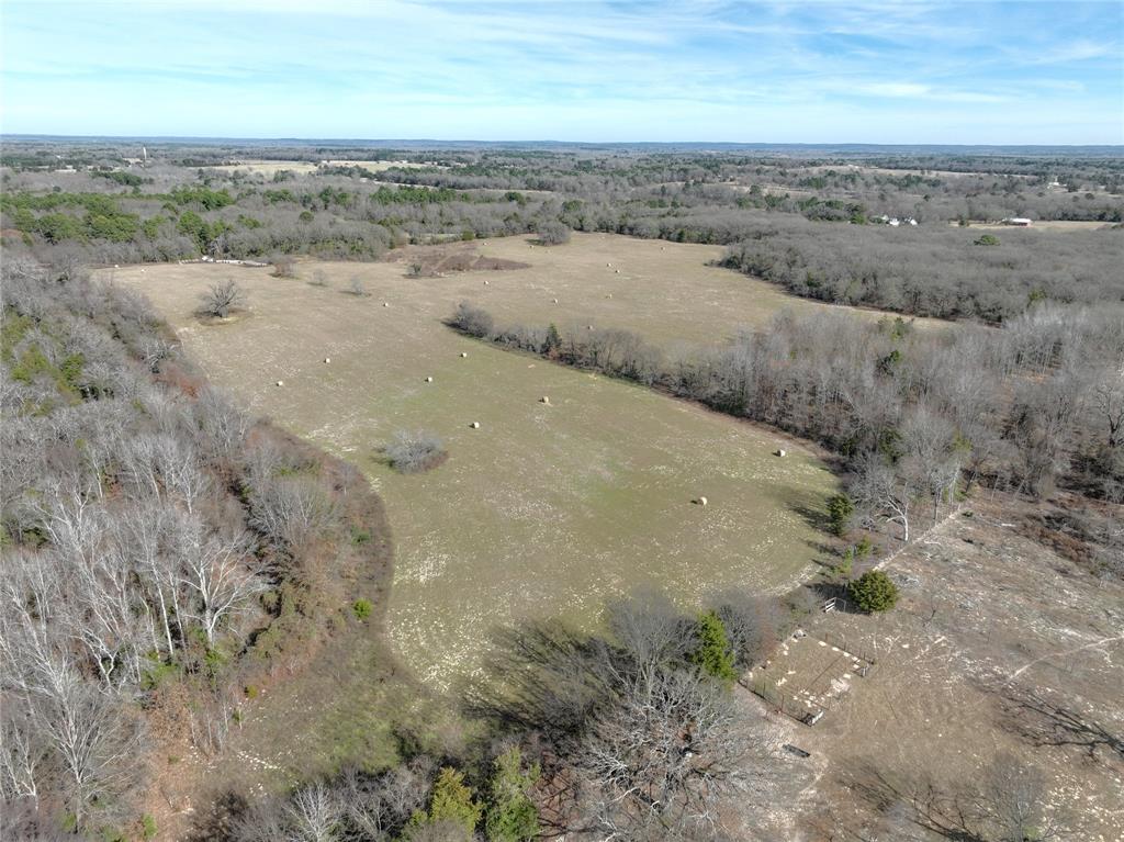 Tbd State Highway 154 Property Photo 22