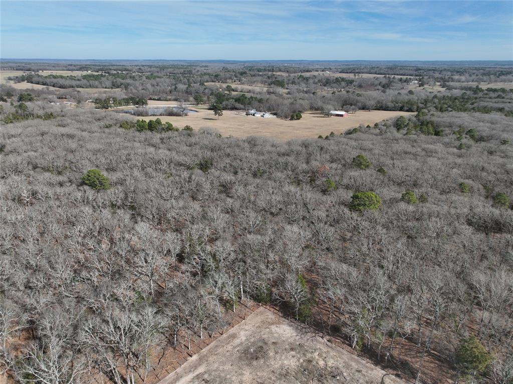 Tbd State Highway 154 Property Photo 23