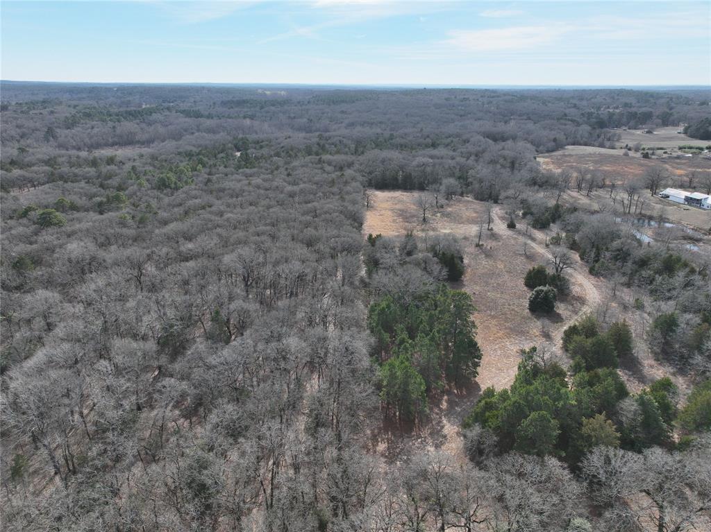 Tbd State Highway 154 Property Photo 24