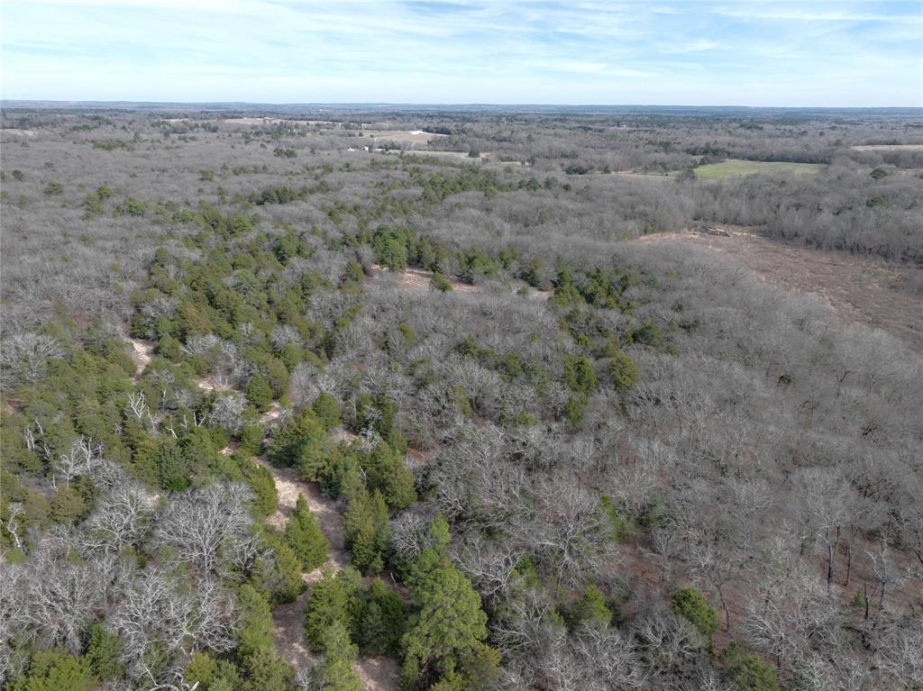 Tbd State Highway 154 Property Photo 25