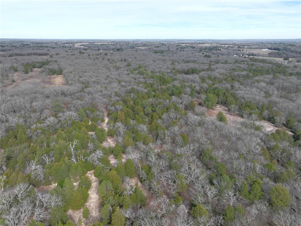Tbd State Highway 154 Property Photo 26