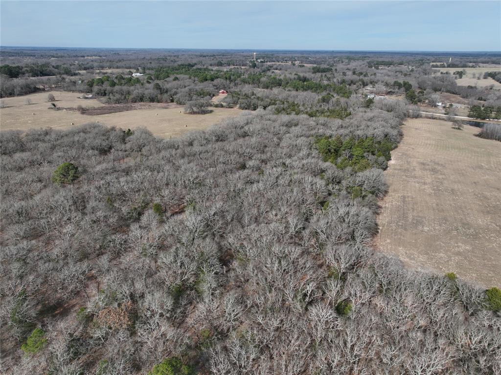 Tbd State Highway 154 Property Photo 27