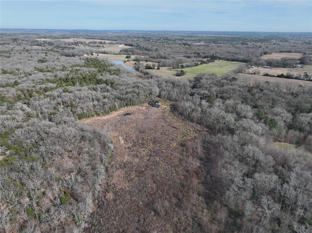 Tbd State Highway 154 Property Photo 28