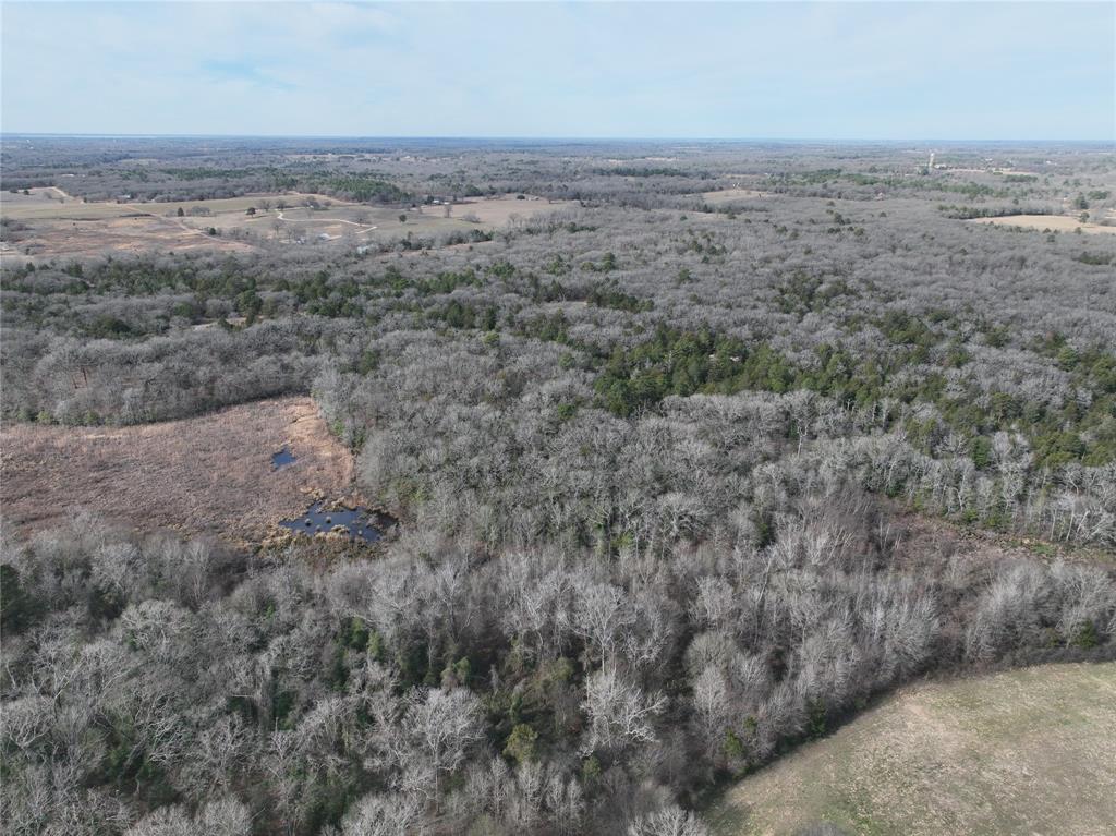 Tbd State Highway 154 Property Photo 29