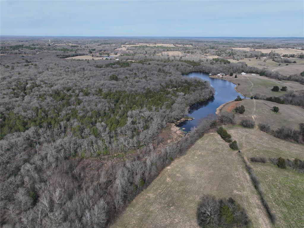 Tbd State Highway 154 Property Photo 30