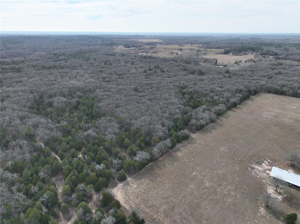 Tbd State Highway 154 Property Photo 31