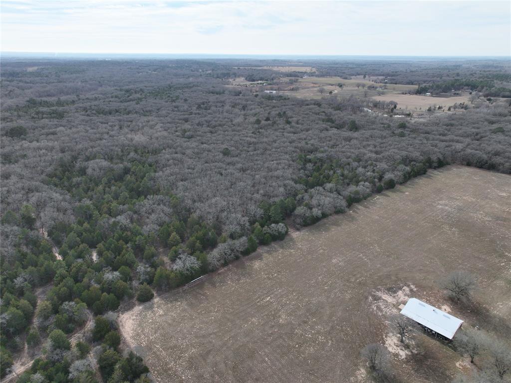 Tbd State Highway 154 Property Photo 32
