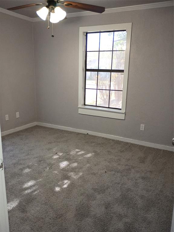 208 Almond Street Property Photo 25
