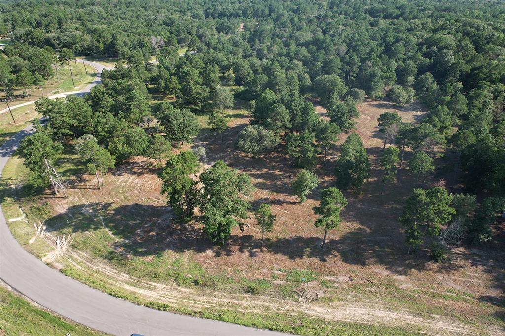 3145 Shadow Pine Drive Property Photo 1