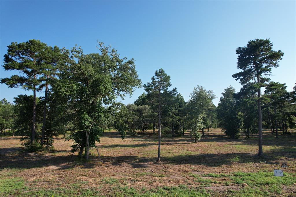 3145 Shadow Pine Drive Property Photo 2