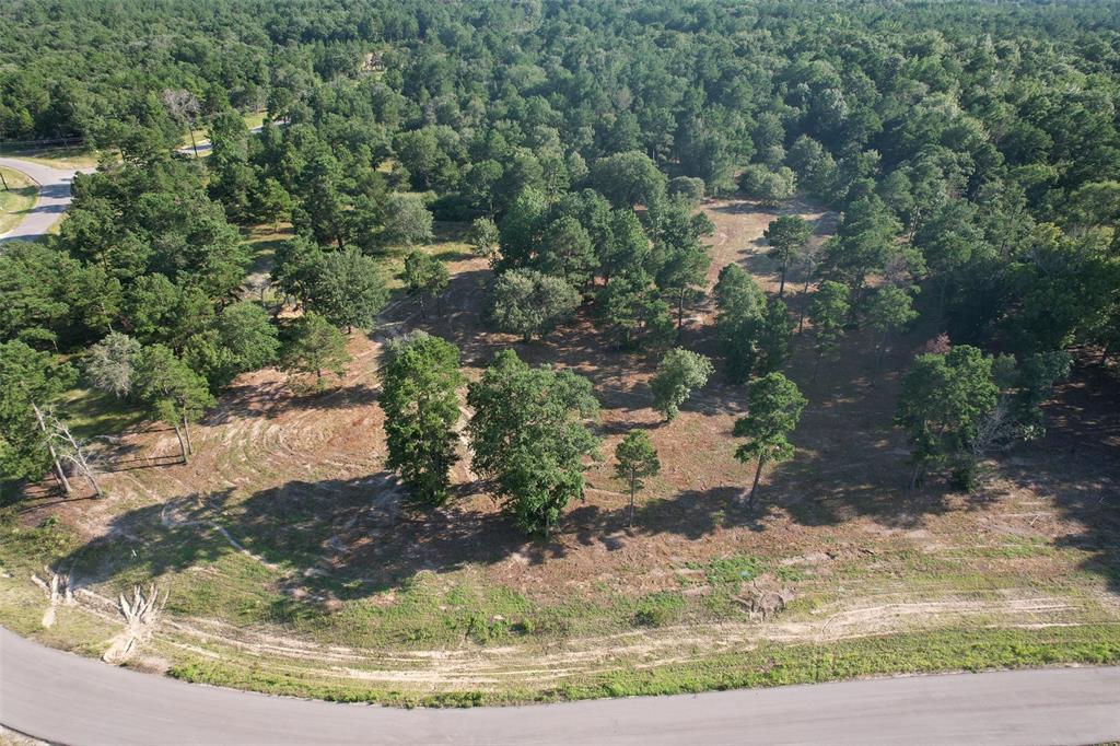 3145 Shadow Pine Drive Property Photo 3