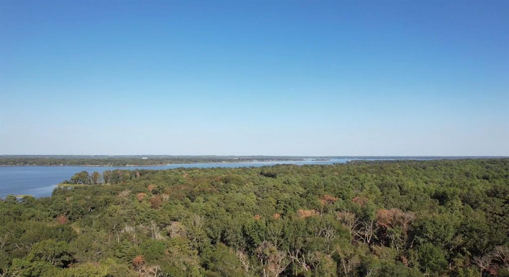 3145 Shadow Pine Drive Property Photo 5